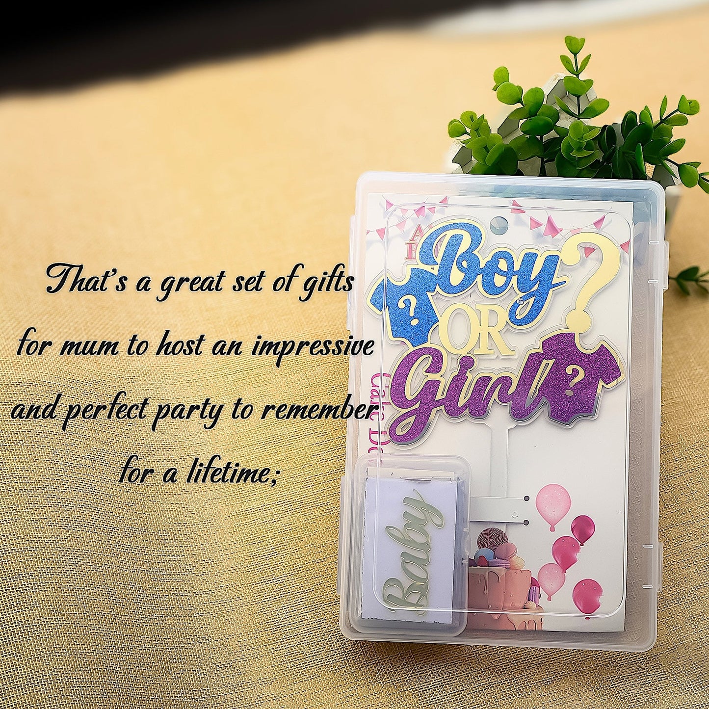 Boy or Girl Gender Reveal Cake Topper Set